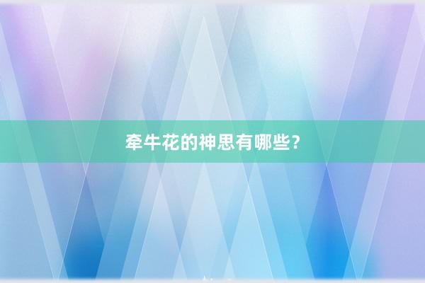 牵牛花的神思有哪些？