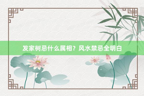 发家树忌什么属相？风水禁忌全明白