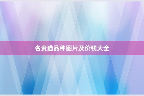 名贵猫品种图片及价钱大全