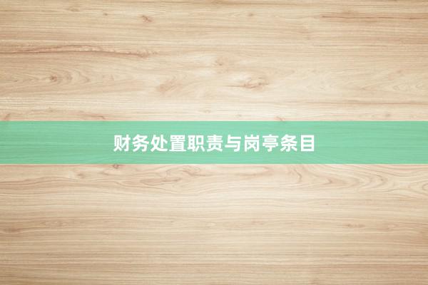 财务处置职责与岗亭条目